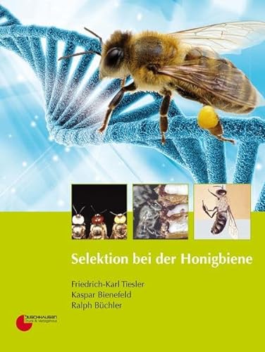 Beispielbild fr Selektion bei der Honigbiene [Gebundene Ausgabe] Friedrich-Karl Tiesler Kaspar Bienefeld Ralph Bchler Genetik Honigbienen Zuchtwertschtzung Naturwissenschaften Paarungsbiologie Zuchttechnik Zuchtauslese Bienenvlker Zuchtarbeit Biologie Zoologie zum Verkauf von BUCHSERVICE / ANTIQUARIAT Lars Lutzer
