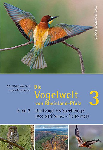 Die Vogelwelt von Rheinland-Pfalz. Band 3: Greifvögel bis Spechtvögel (Accipitriformes - Piciformes) - C., Dietzen, Folz H.-G. und Grunwald T.