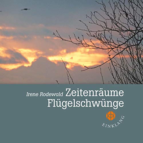 Stock image for Zeitenrume - Flgelschwnge for sale by medimops
