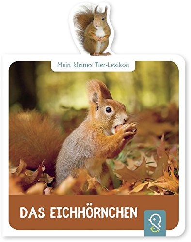 Beispielbild fr Das Eichhrnchen -Language: german zum Verkauf von GreatBookPrices