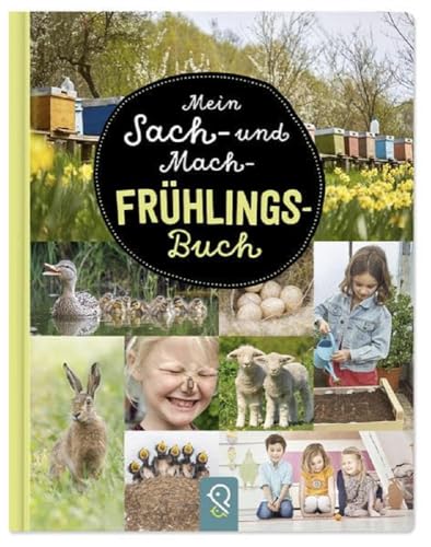 Beispielbild fr Mein Sach- und Mach-Frhlings-Buch -Language: german zum Verkauf von GreatBookPrices