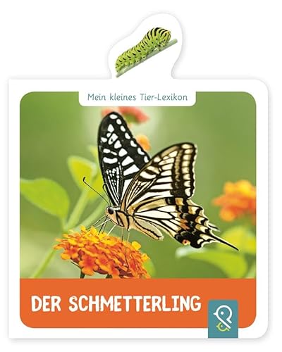 Beispielbild fr Mein kleines Tier-Lexikon - Der Schmetterling zum Verkauf von Blackwell's