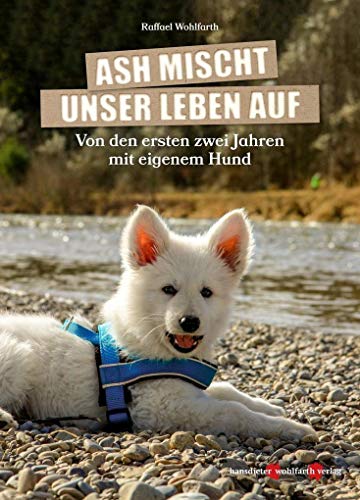 Stock image for Ash mischt unser Leben auf!: Von den ersten zwei Jahren mit eigenem Hund. for sale by medimops