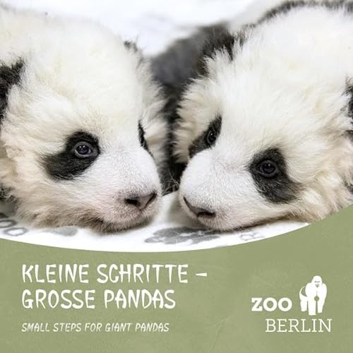Stock image for Kleine Schritte Groe Pandas Die PandaZwillinge aus dem Zoo Berlin for sale by PBShop.store US