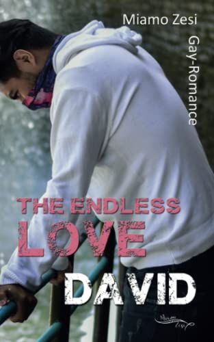 Beispielbild fr David: The endless love zum Verkauf von Studibuch