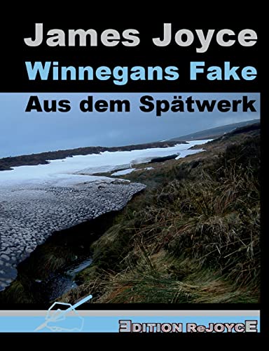 Stock image for Winnegans Fake: Aus dem Sptwerk (German Edition) for sale by Lucky's Textbooks