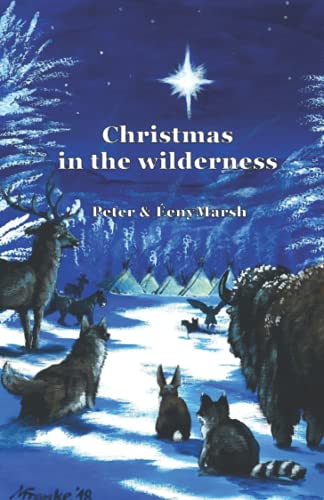 Imagen de archivo de Christmas in the wilderness: The (Other) Christmas Narrative a la venta por Lucky's Textbooks
