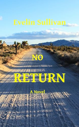 Stock image for No Return for sale by ThriftBooks-Dallas