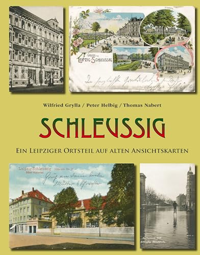 Stock image for Schleuig for sale by Blackwell's