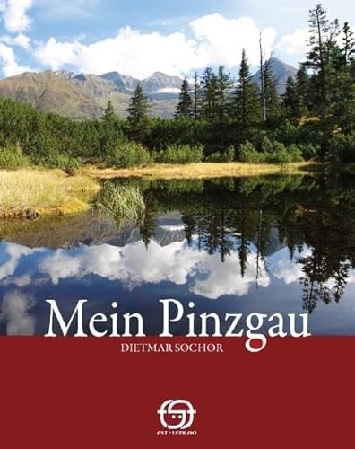 Beispielbild fr Mein Pinzgau zum Verkauf von medimops