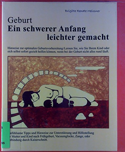 Geburt. Ein schwerer Anfang leichter gemacht - Brigitte Renate Meissner