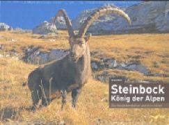 Beispielbild fr Steinbock - Knig der Alpen: Die Hauptdarsteller und ihre Hter - Kch, Rudolf zum Verkauf von BuchZeichen-Versandhandel