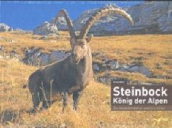 9783952410400: Steinbock - Knig der Alpen: Die Hauptdarsteller und ihre Hter - Kch, Rudolf