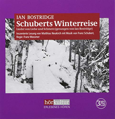 Imagen de archivo de Schuberts Winterreise: Lieder von Liebe und Schmerz a la venta por medimops