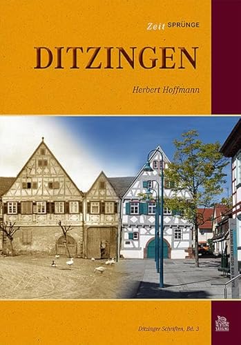 9783954000432: Zeitsprnge Ditzingen