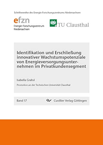 9783954045716: Identifikation und Erschlieung innovativer Wachstumspotenziale von Energieversorgungsunternehmen im Privatkundensegment (Band 17)