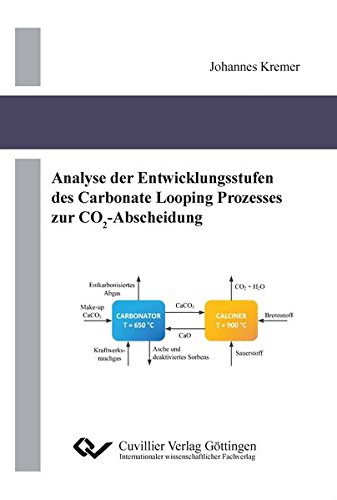 9783954046584: Analyse der Entwicklungsstufen des Carbonate Looping Prozesses zur CO2-Abscheidung