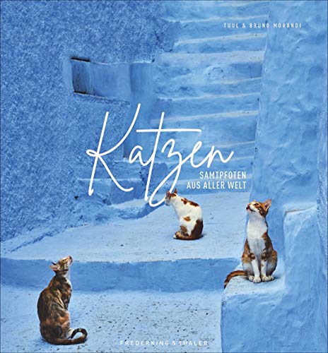 Beispielbild fr Bildband: Katzen - Samtpfoten aus aller Welt. Fantastische Fotografien untermalt mit poetischen Zitaten. Ein Muss fr alle Katzenliebhaber! Mit Infos . der Katze und ihrer weltweiten Verbreitung. zum Verkauf von medimops