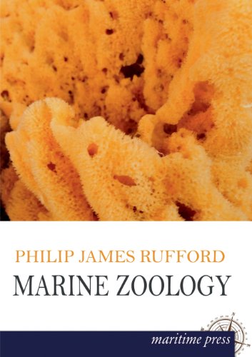 Stock image for Marine Zoology for sale by Phatpocket Limited