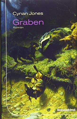 Imagen de archivo de Graben: Roman a la venta por medimops