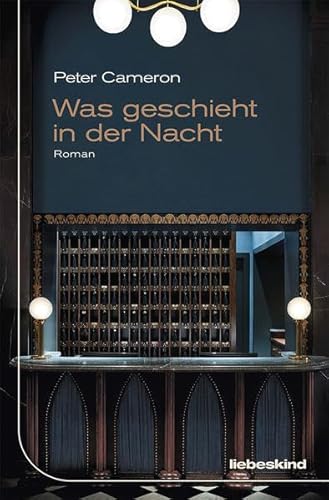 9783954381494: Was geschieht in der Nacht: Roman