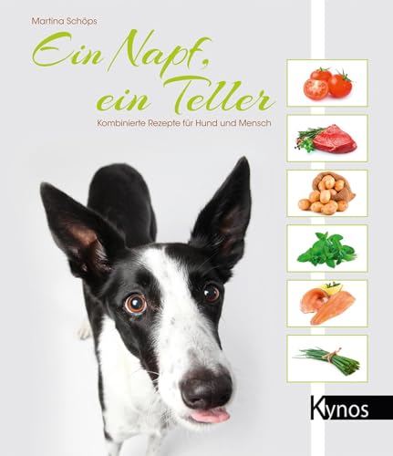 Beispielbild fr Ein Napf, ein Teller: Kombinierte Rezepte fr Hund und Mensch zum Verkauf von medimops
