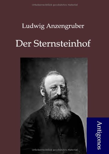 9783954720347: Der Sternsteinhof