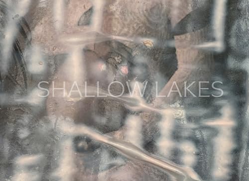 Imagen de archivo de shallow lakes a la venta por PBShop.store US