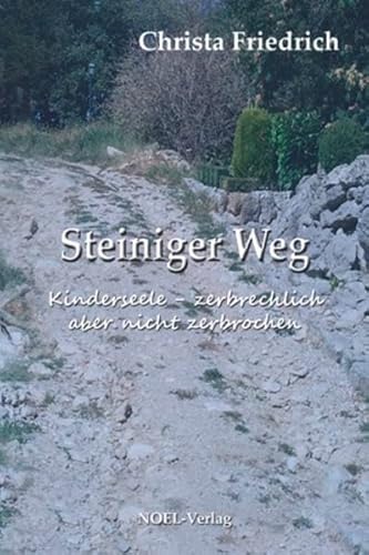 9783954930340: Steiniger Weg: Kinderseele - zerbrechlich aber nicht zerbrochen