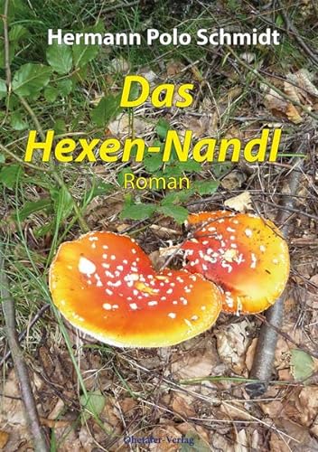 Stock image for Das Hexen Nandl for sale by medimops