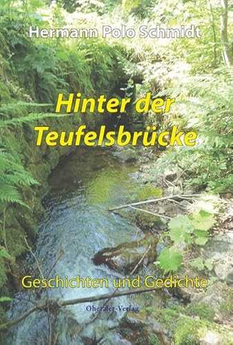 Stock image for Hinter der Teufelsbrcke: Geschichten und Gedichte for sale by medimops