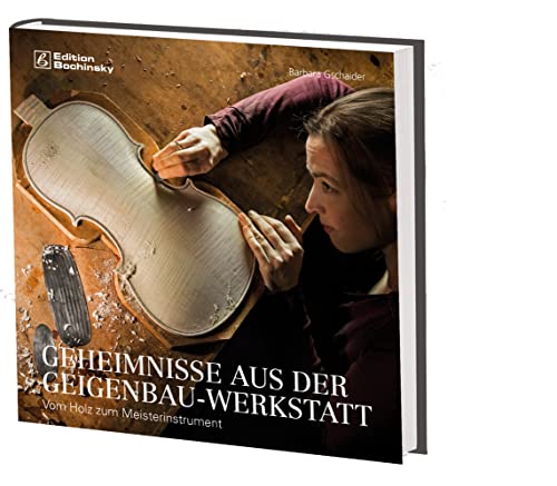 9783955121204: Geheimnisse aus der Geigenbauwerkstatt: Vom Holz zum Meisterinstrument