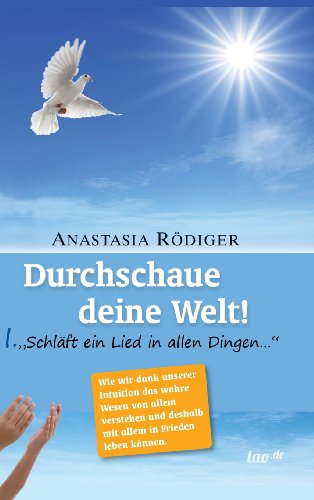 9783955290887: Durchschaue deine Welt!