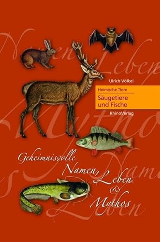 Stock image for Heimische Tiere - Sugetiere und Fische: Geheimnisvolle Namen, Leben und Mythos for sale by medimops