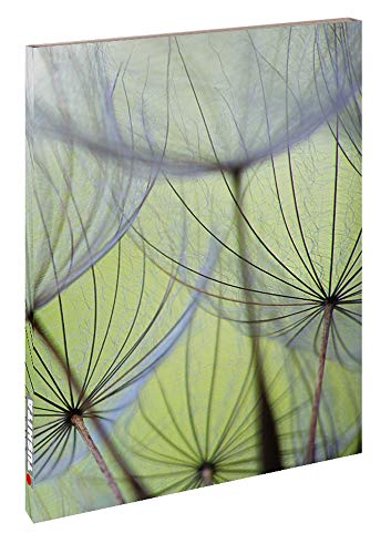 9783955706999: Dandelion Seeds - Lwenzahnsamen Blankbook