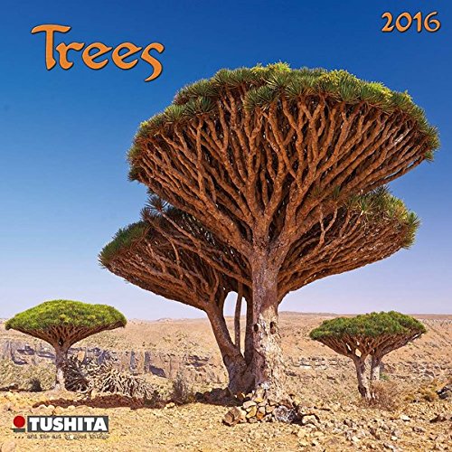 9783955709488: Trees 2016: Kalender 2016 (Mini Calendars)
