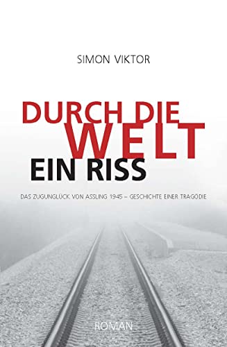 Imagen de archivo de Durch die Welt ein Riss a la venta por GreatBookPrices