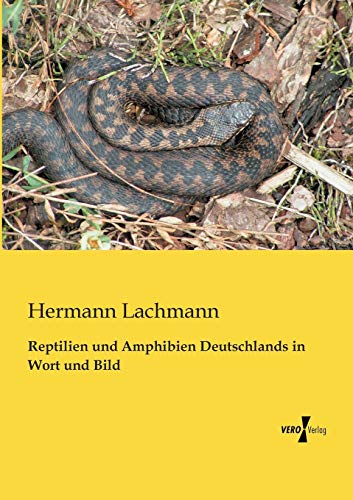 9783956107733: Reptilien und Amphibien Deutschlands in Wort und Bild