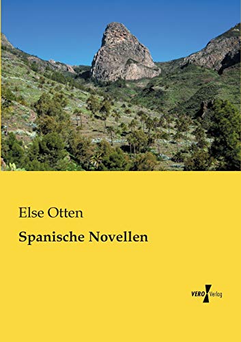 9783956109935: Spanische Novellen (German Edition)