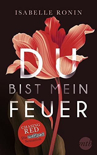 Du bist mein Feuer: Chasing Red : Chasing Red - Isabelle Ronin