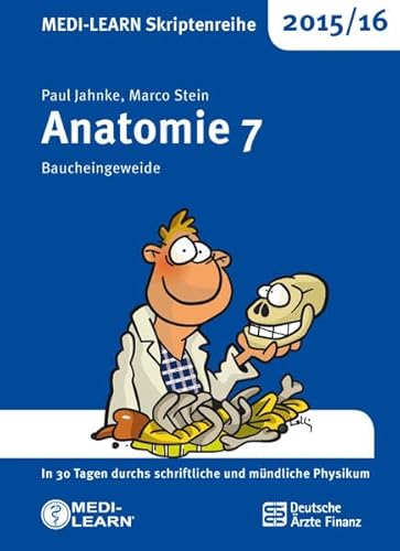 Stock image for MEDI-LEARN Skriptenreihe 2015/16: Anatomie 7 - Baucheingeweide for sale by medimops