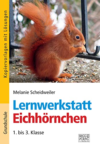 Stock image for Lernwerkstatt Eichhrnchen: 1. bis 3. Klasse for sale by medimops
