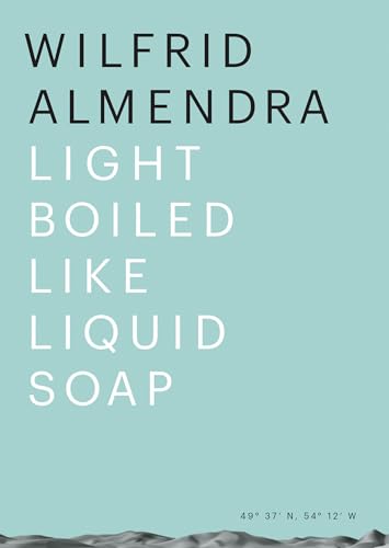Stock image for Wilfrid Almendra: Light Boiled like Liquid Soap (Sternberg Press) for sale by Bellwetherbooks