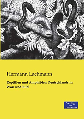 9783957000323: Reptilien und Amphibien Deutschlands in Wort und Bild