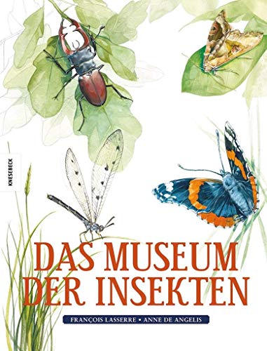 9783957280879: Das Museum der Insekten