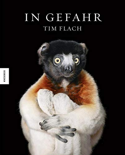 Beispielbild fr Flach, T: In Gefahr zum Verkauf von Einar & Bert Theaterbuchhandlung