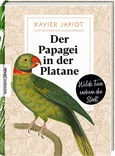 Beispielbild fr Der Papagei in der Platane: Wilde Tiere erobern die Stadt (Knesebeck Stories) zum Verkauf von medimops