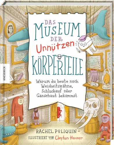 Stock image for Das Museum der unntzen Krperteile for sale by GreatBookPrices