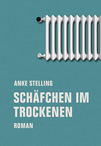 Stock image for Schfchen im Trockenen: Roman for sale by medimops