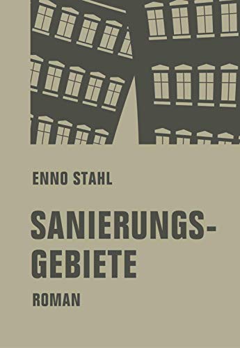 Stock image for Sanierungsgebiete: Roman for sale by medimops